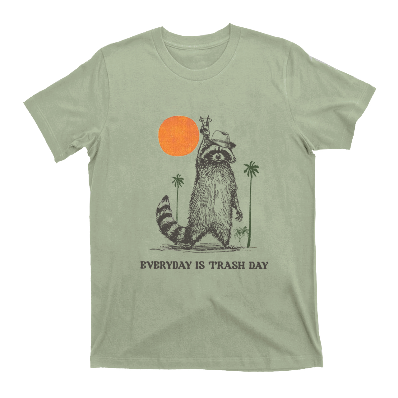 Everyday Is Trash Day,Raccoon T-Shirts