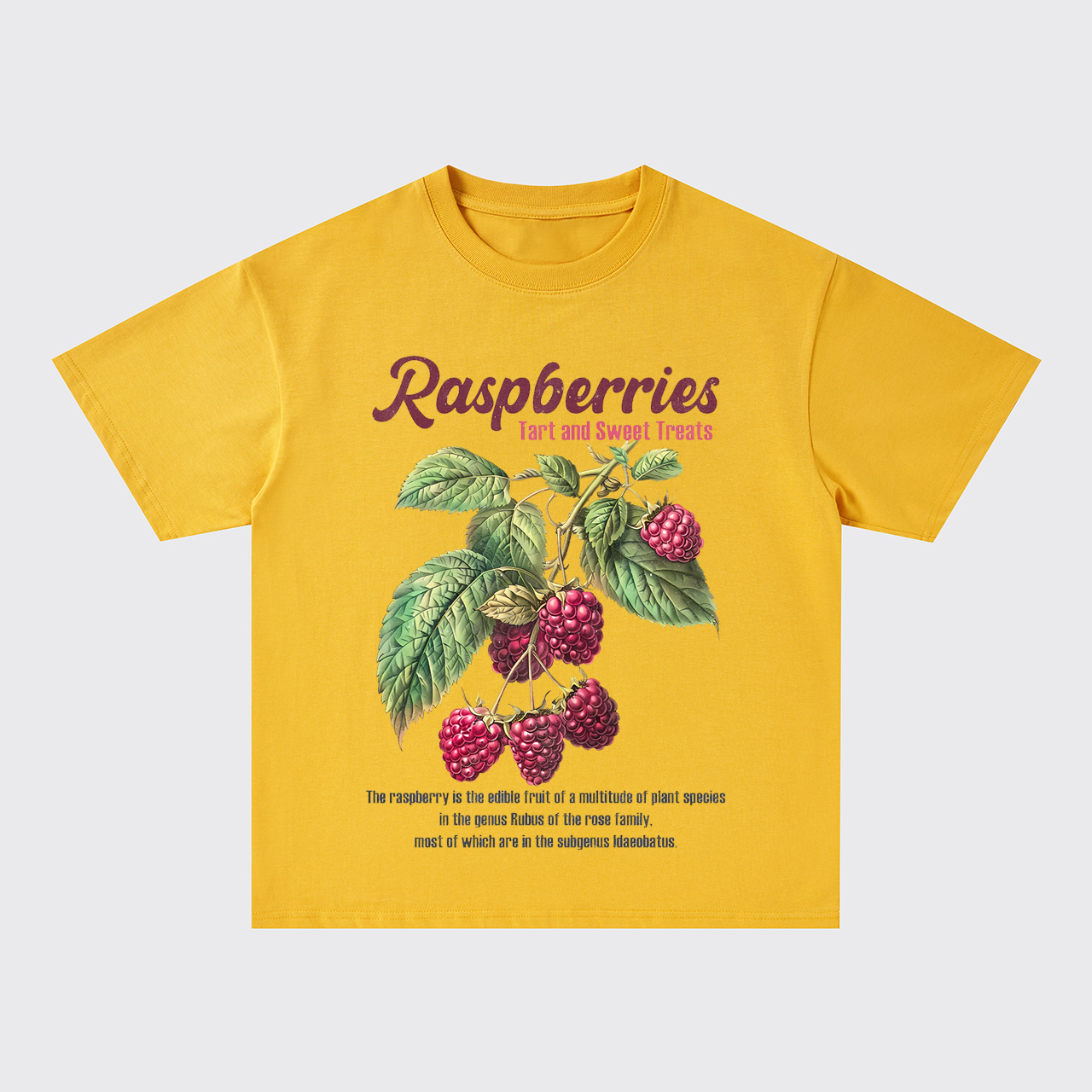 Retro Style-Fresh Raspberries Oversize T-Shirts