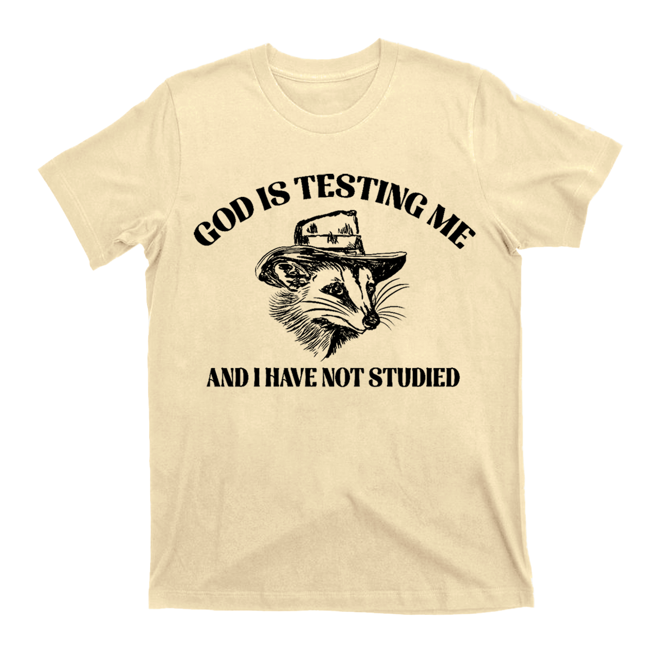 God Is Testing Me Funny T-Shirts