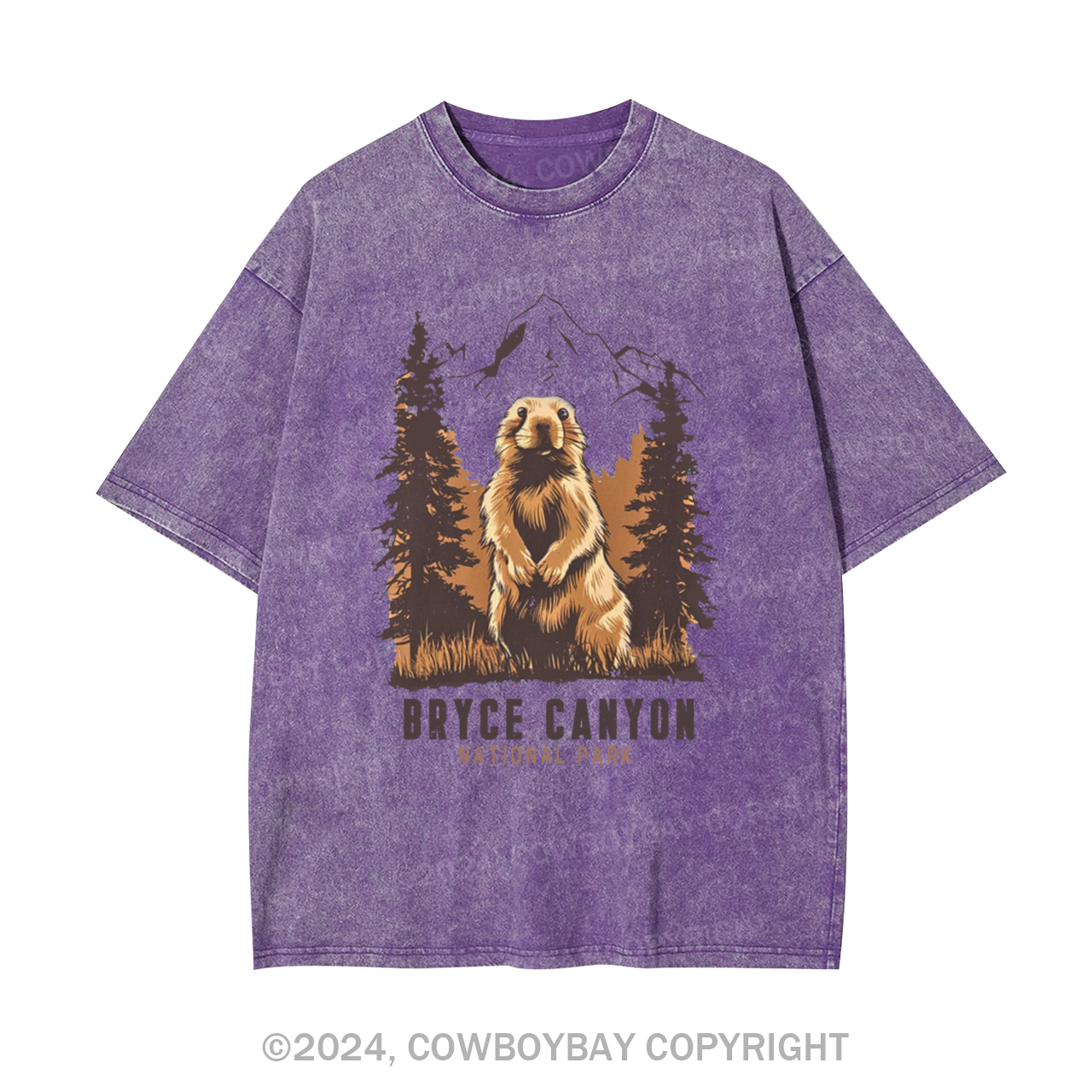 Bryce Canyon National Park Garment-dye Tees