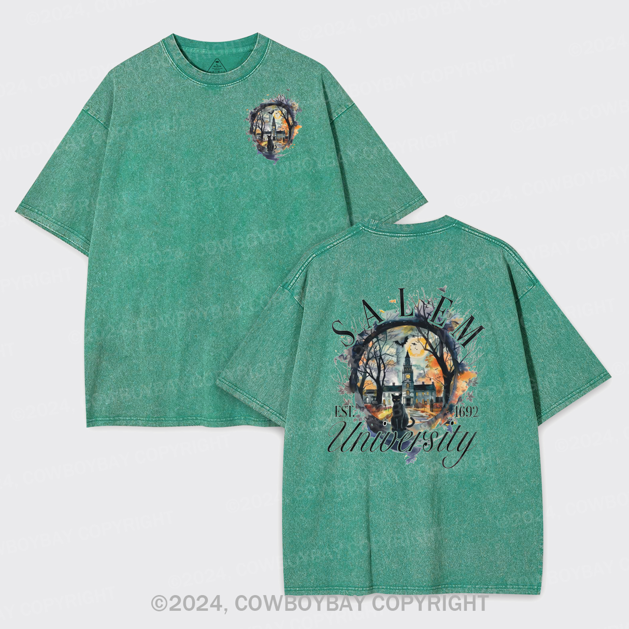 Salem University  EST.1692 Garment-dye Tees