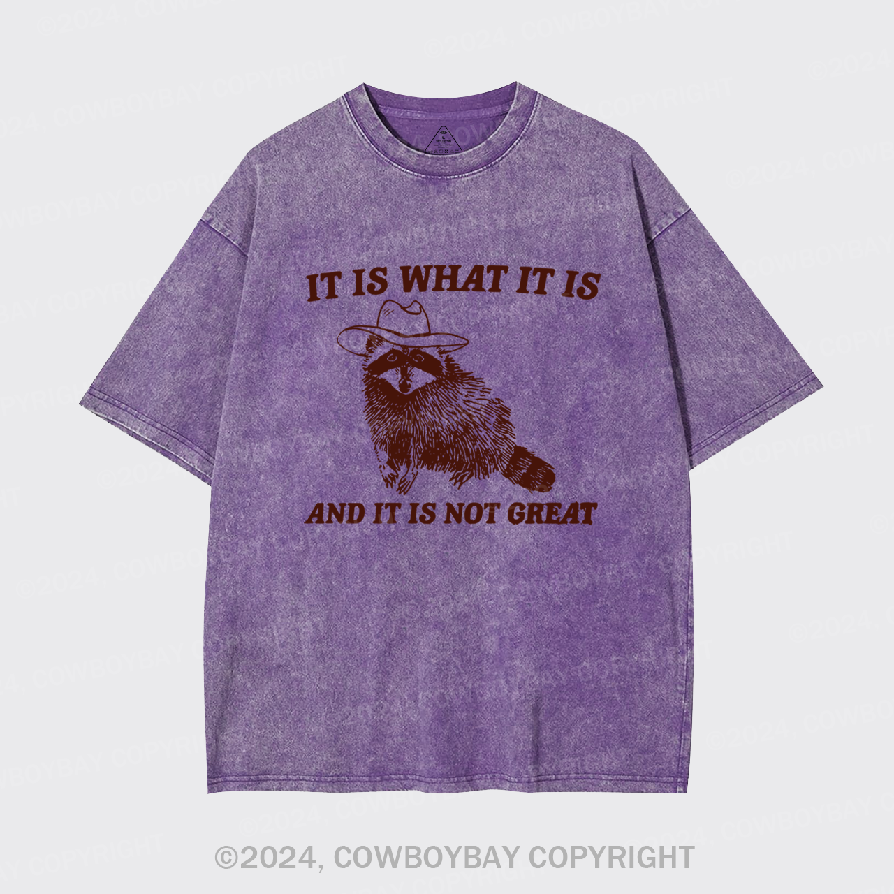 It Is What It Is And It Is Not Great Garment-dye Tees