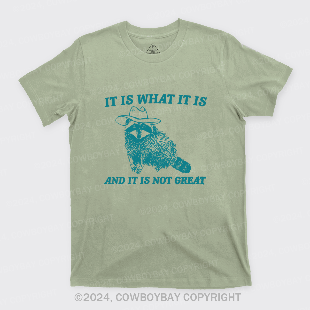 It Is What It Is And It Is Not Great T-Shirts