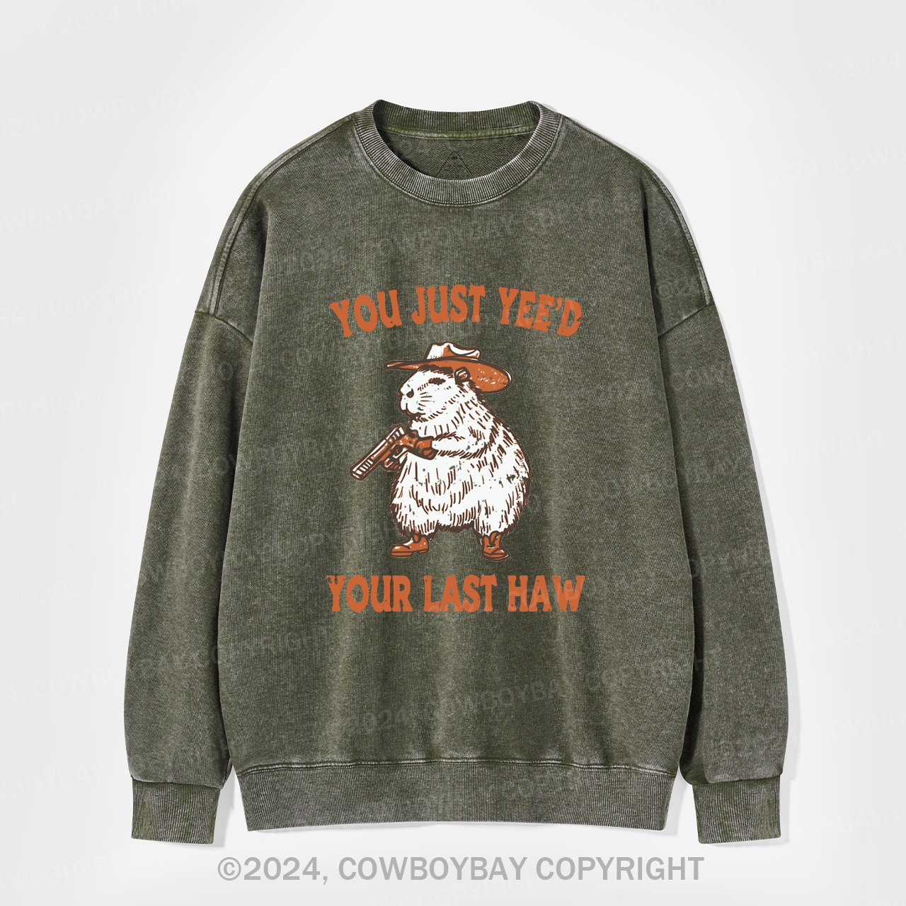 You've Lost Your Last Chance Washed Sweatshirts