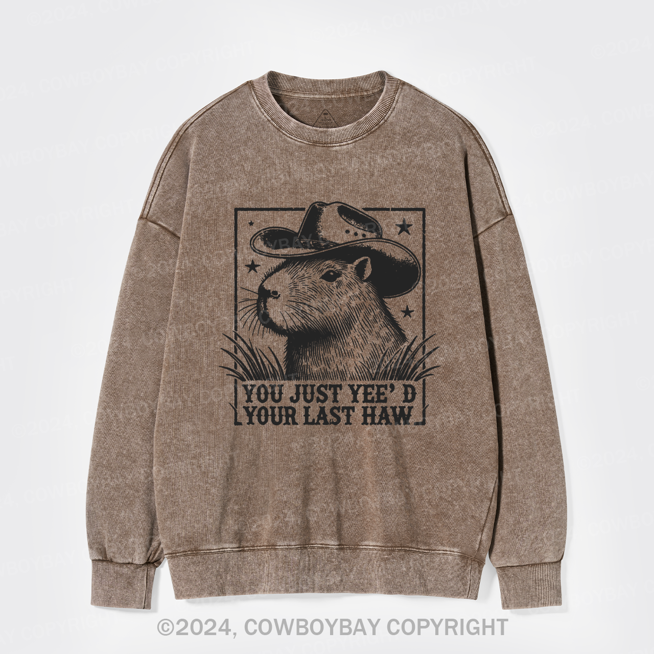 Goodbye, My Partner Washed Sweatshirts