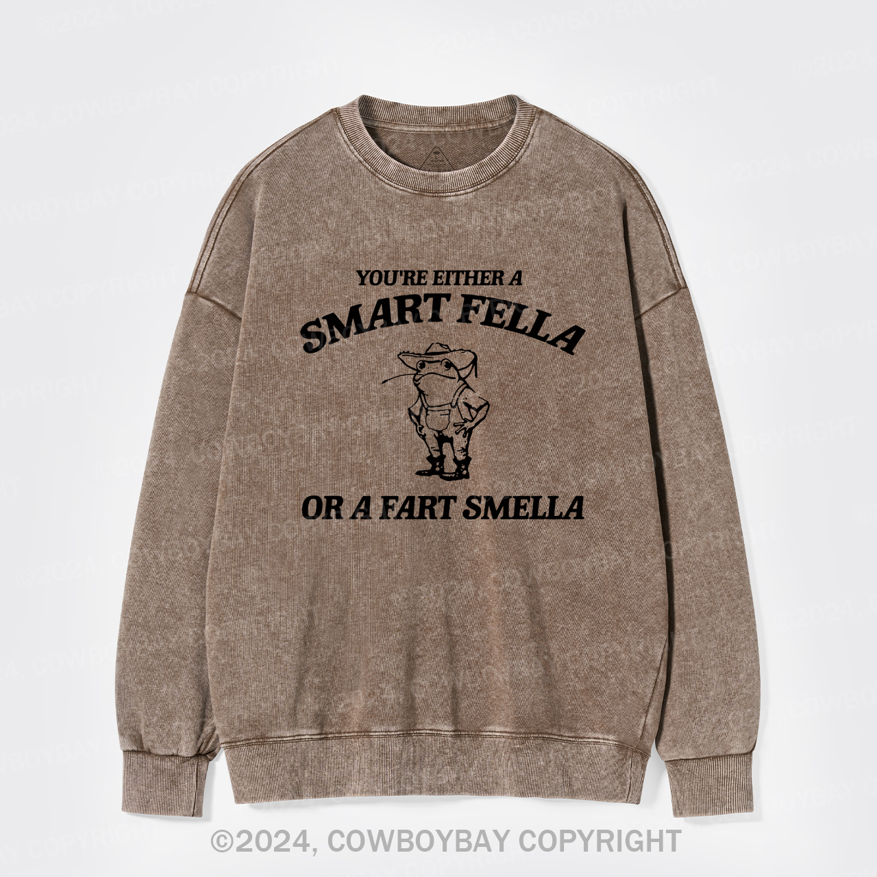 Are You A Smart Fella Or Fart Smella Washed Sweatshirts