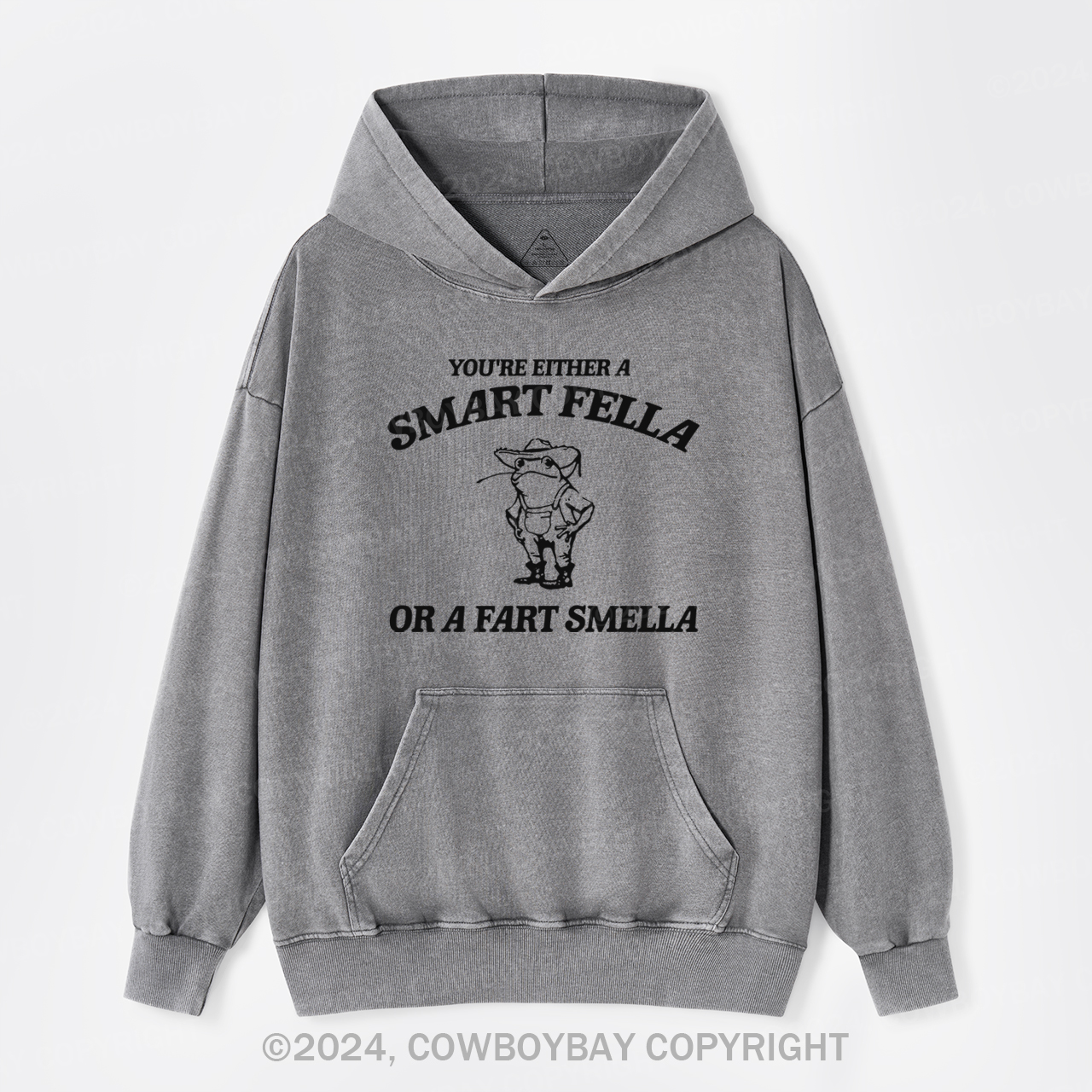 Are You A Smart Fella Or Fart Smella Garment-Dye Hoodies