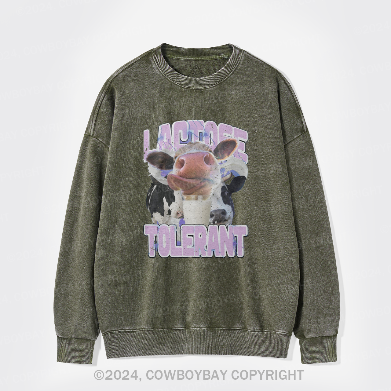 Lactose Tolerant Vintage Washed Sweatshirts