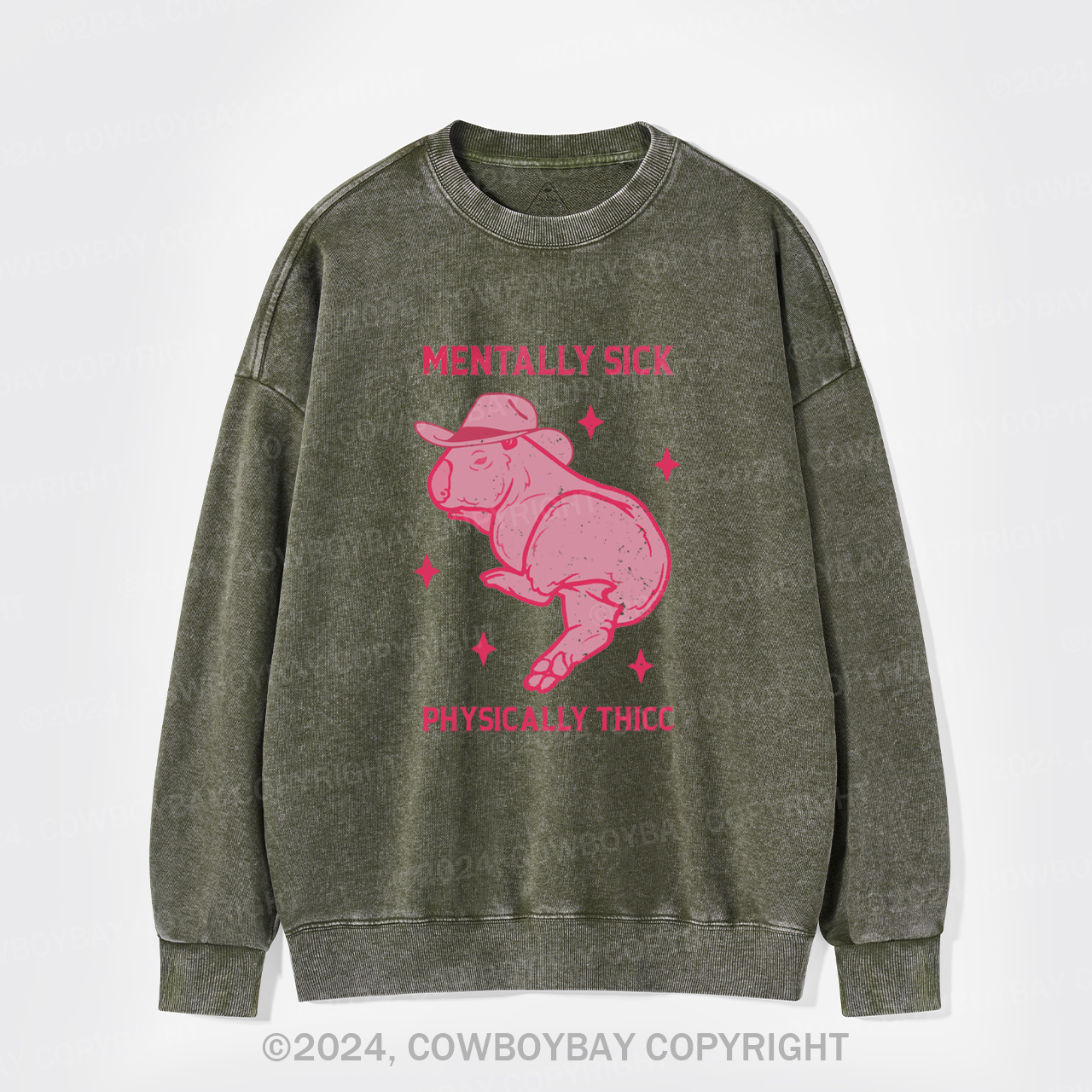 Mentally Sick Physically Thicc Capybara Washed Sweatshirts