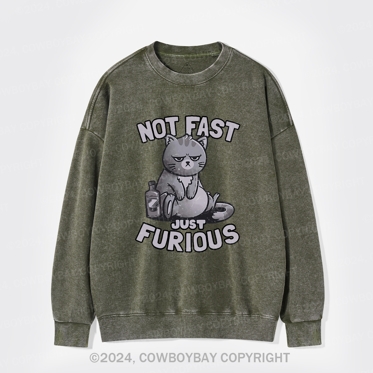 Not Fast Just Furious Cat Washed Sweatshirts
