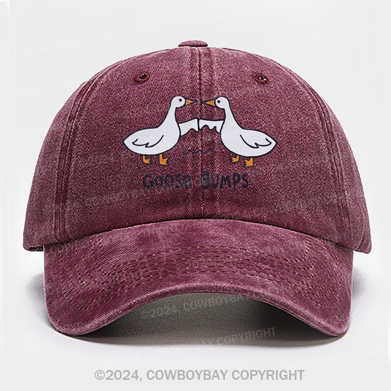 Goose Bump Embroidery Washed Hat