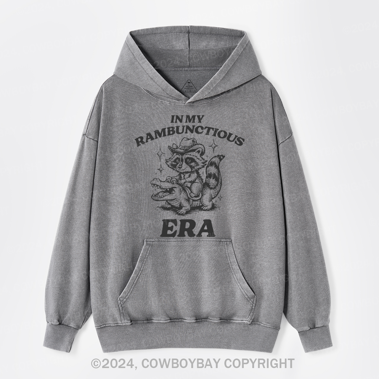 In My Rambunctious Era Garment-Dye Hoodies