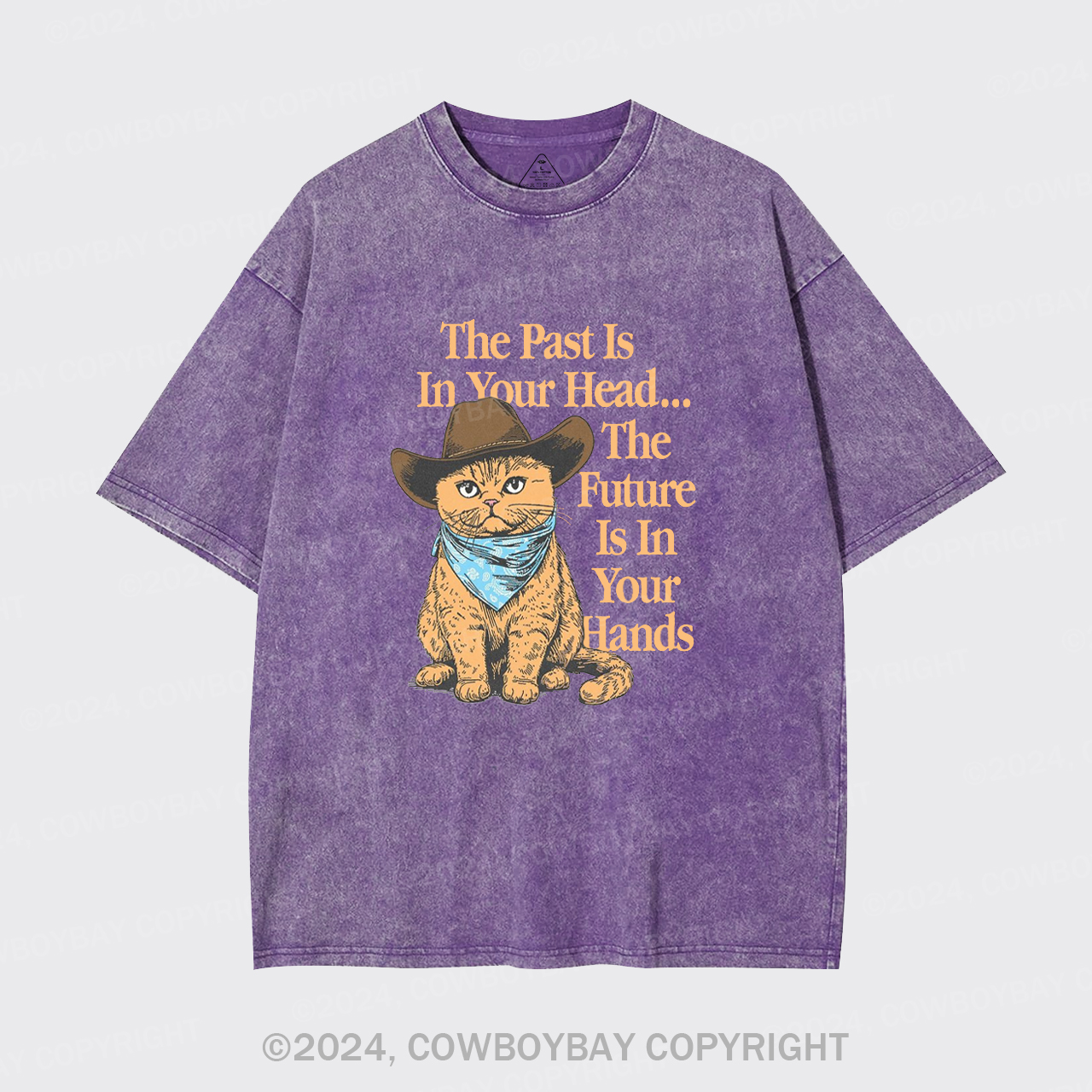 The Past Is In Your Head Garment-dye Tees