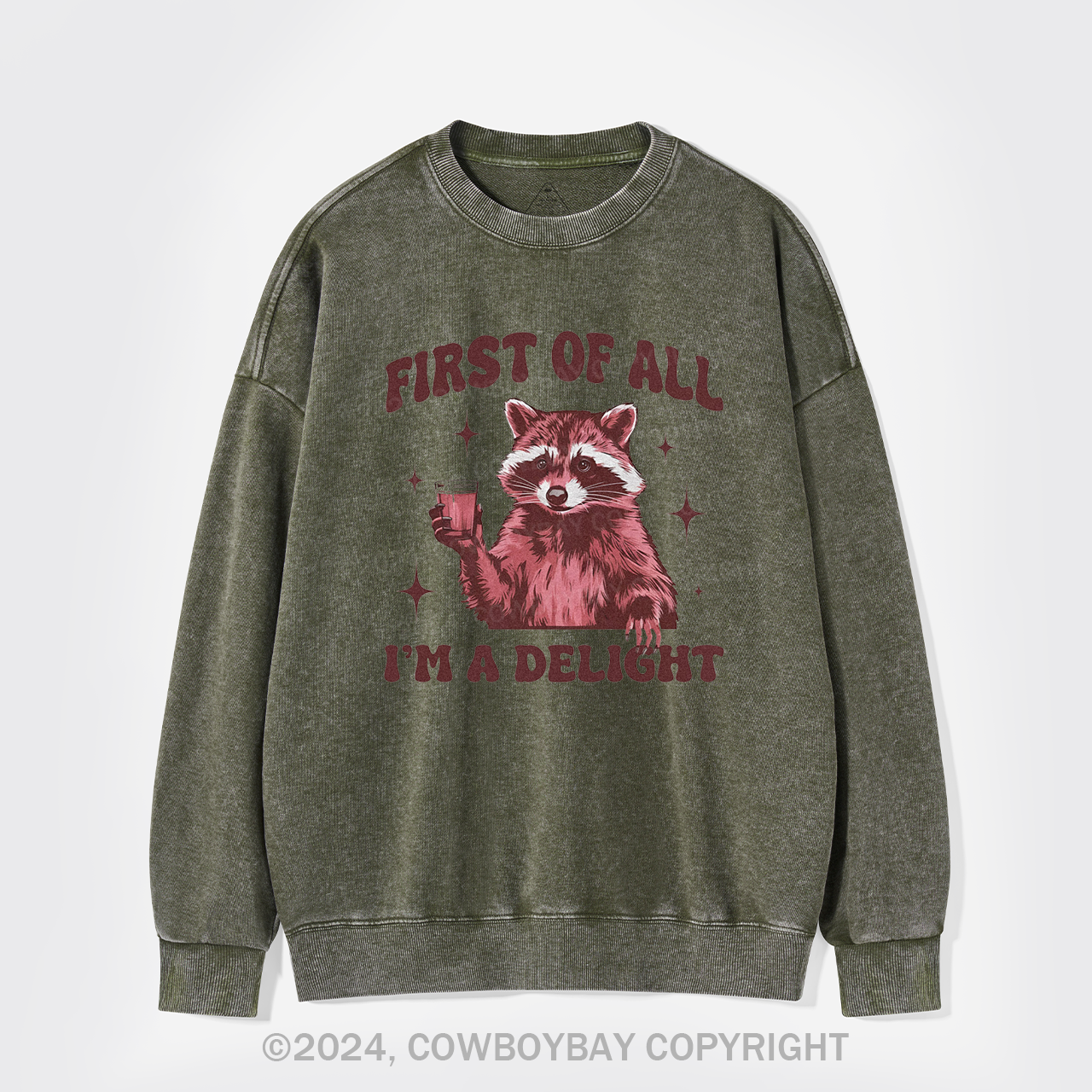 First Of All,I'm A Delight Washed Sweatshirts