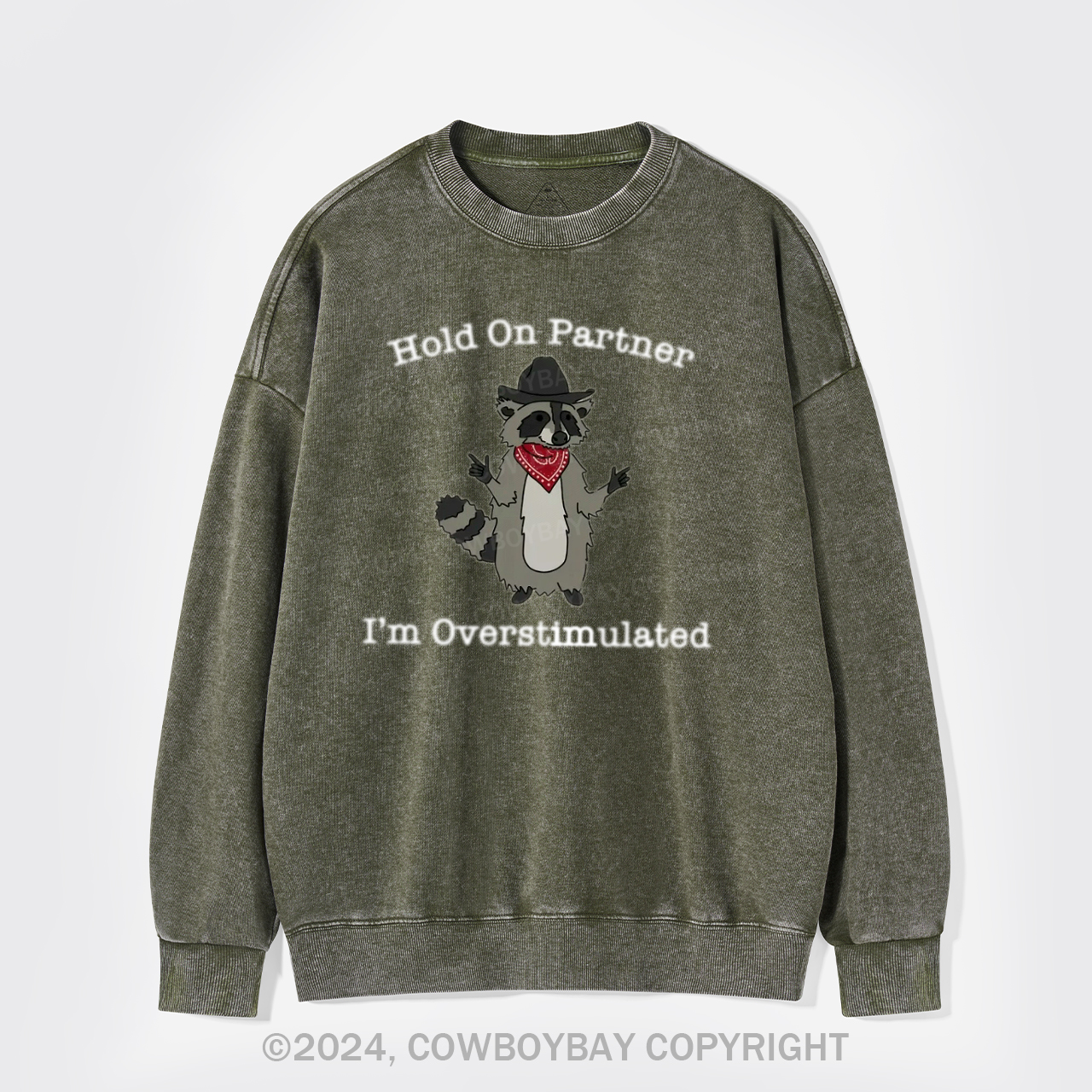 Wait, I'm So Excited Washed Sweatshirts