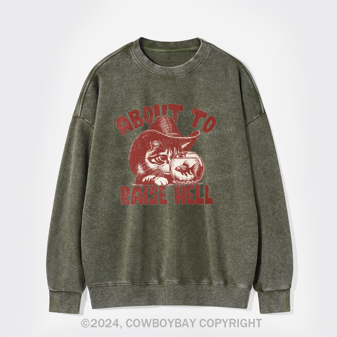 About To Raise Hell Washed Sweatshirts