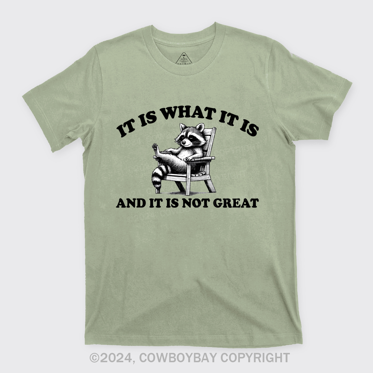 It Is What It Is And It Is Not Great T-Shirts