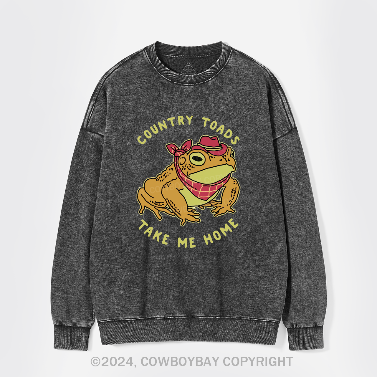 Country Toads Take Me Home Washed Sweatshirts