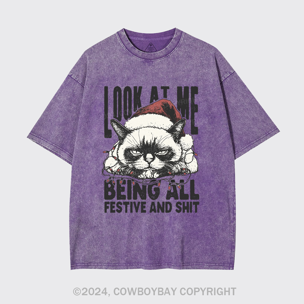 Funny Christmas Cat Garment-dye Tees