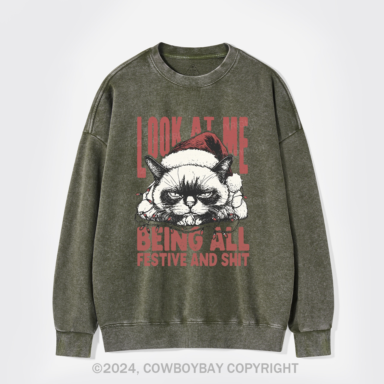 Funny Christmas Cat Washed Sweatshirts