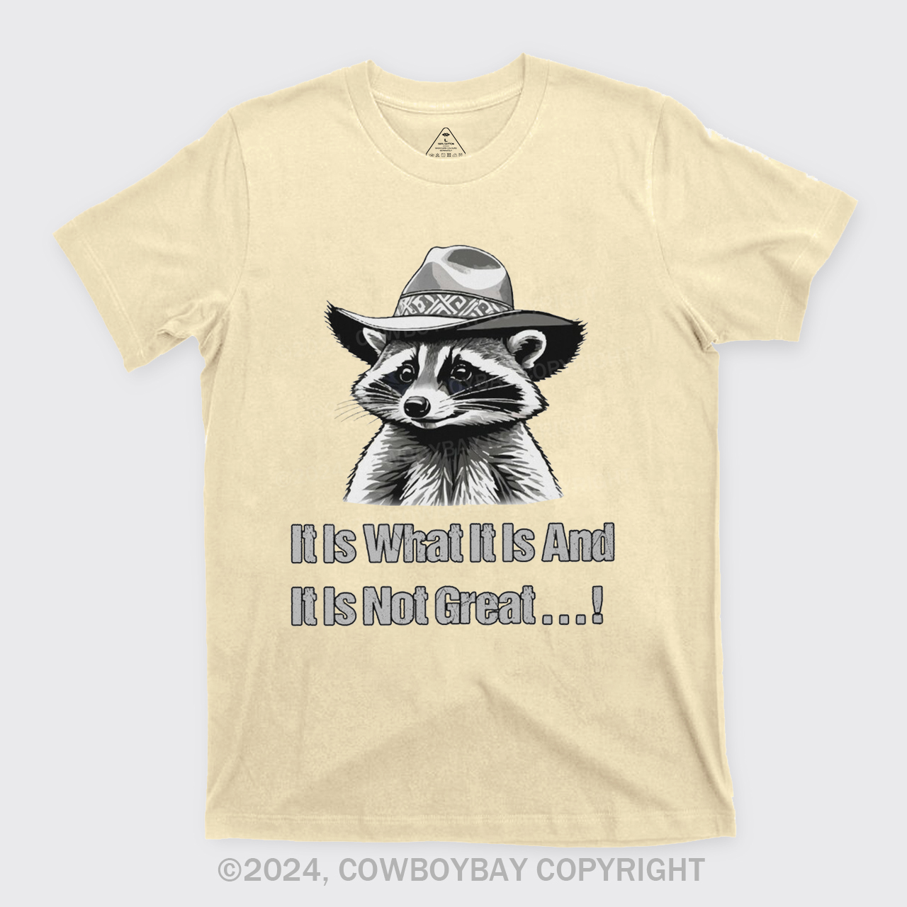 It Is What It Is And It Is Not Great T-Shirts