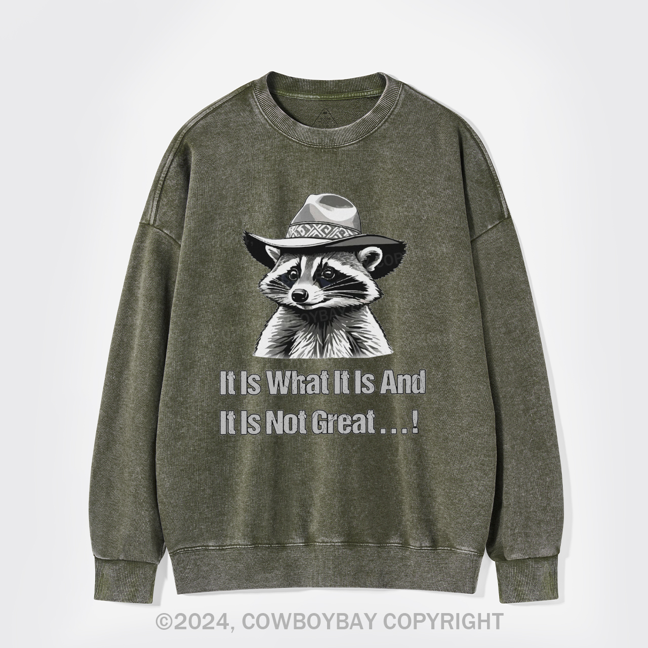 It Is What It Is And It Is Not Great Washed Sweatshirts
