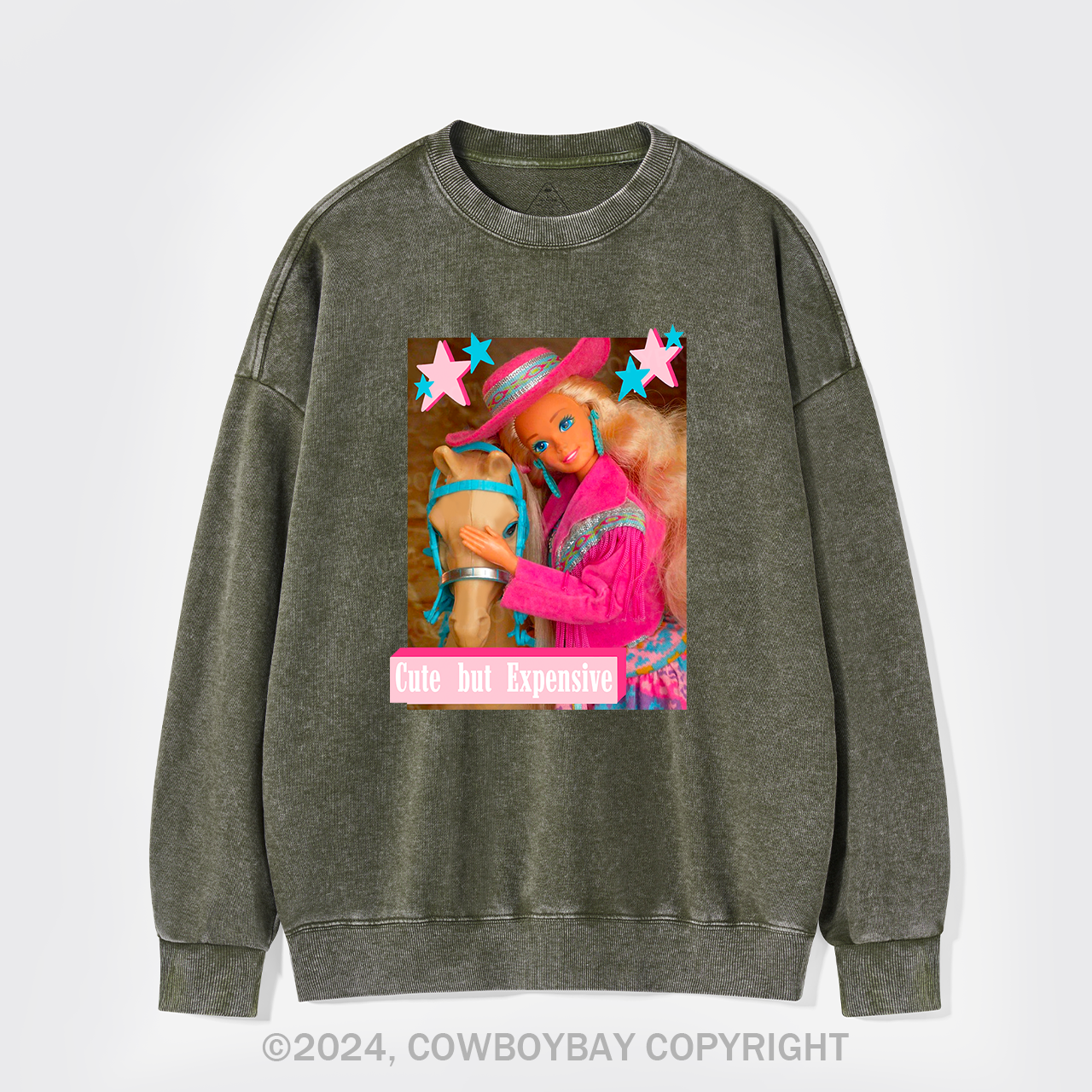Cute But Expensive Retro Cowboy Washed Sweatshirts
