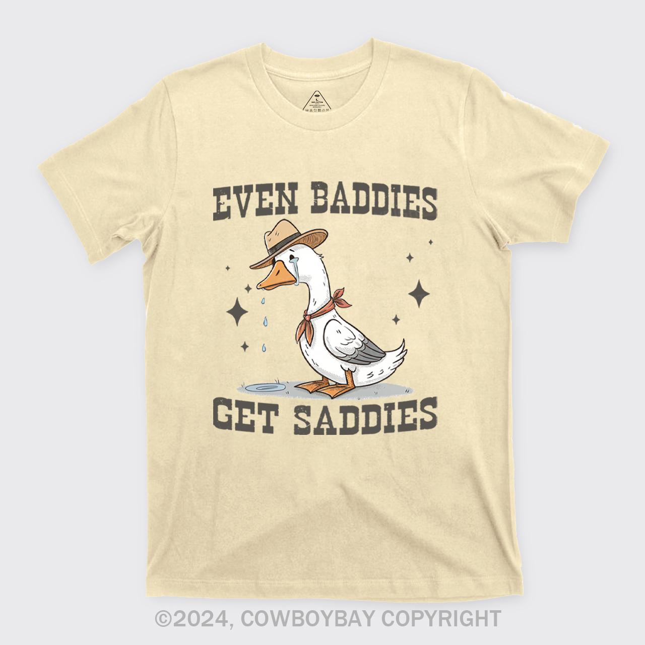 Even Baddies Get Saddie T-Shirts