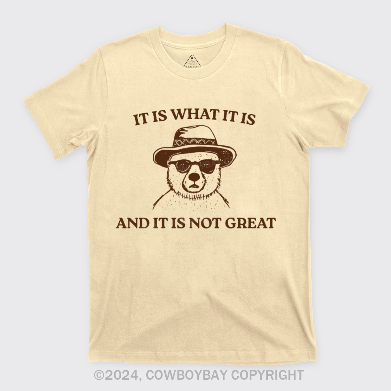 It Is What It Is And It Is Not Great T-Shirts