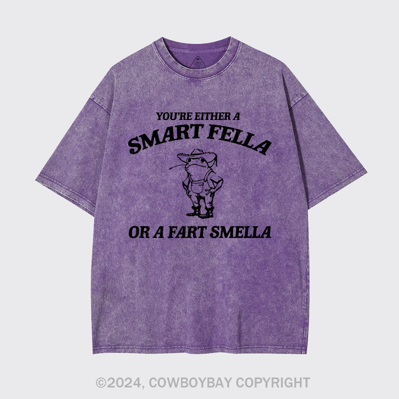 Are You A Smart Fella Or Fart Smella Garment-dye Tees