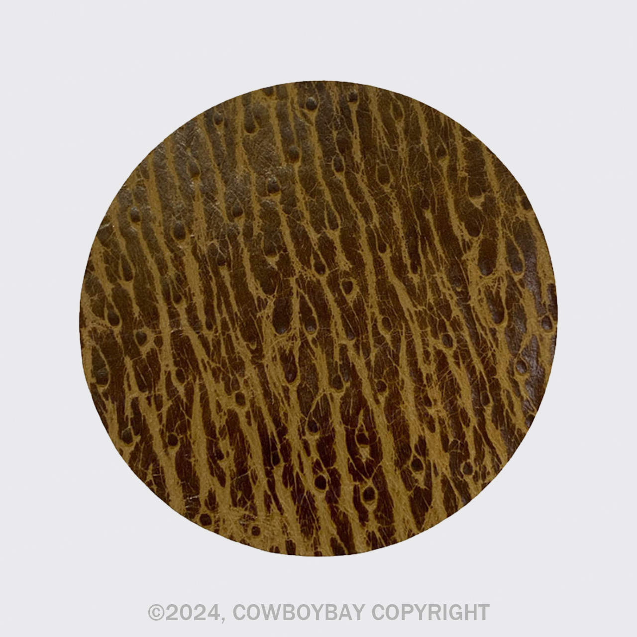 Brown Ostrich Pattern Coaster