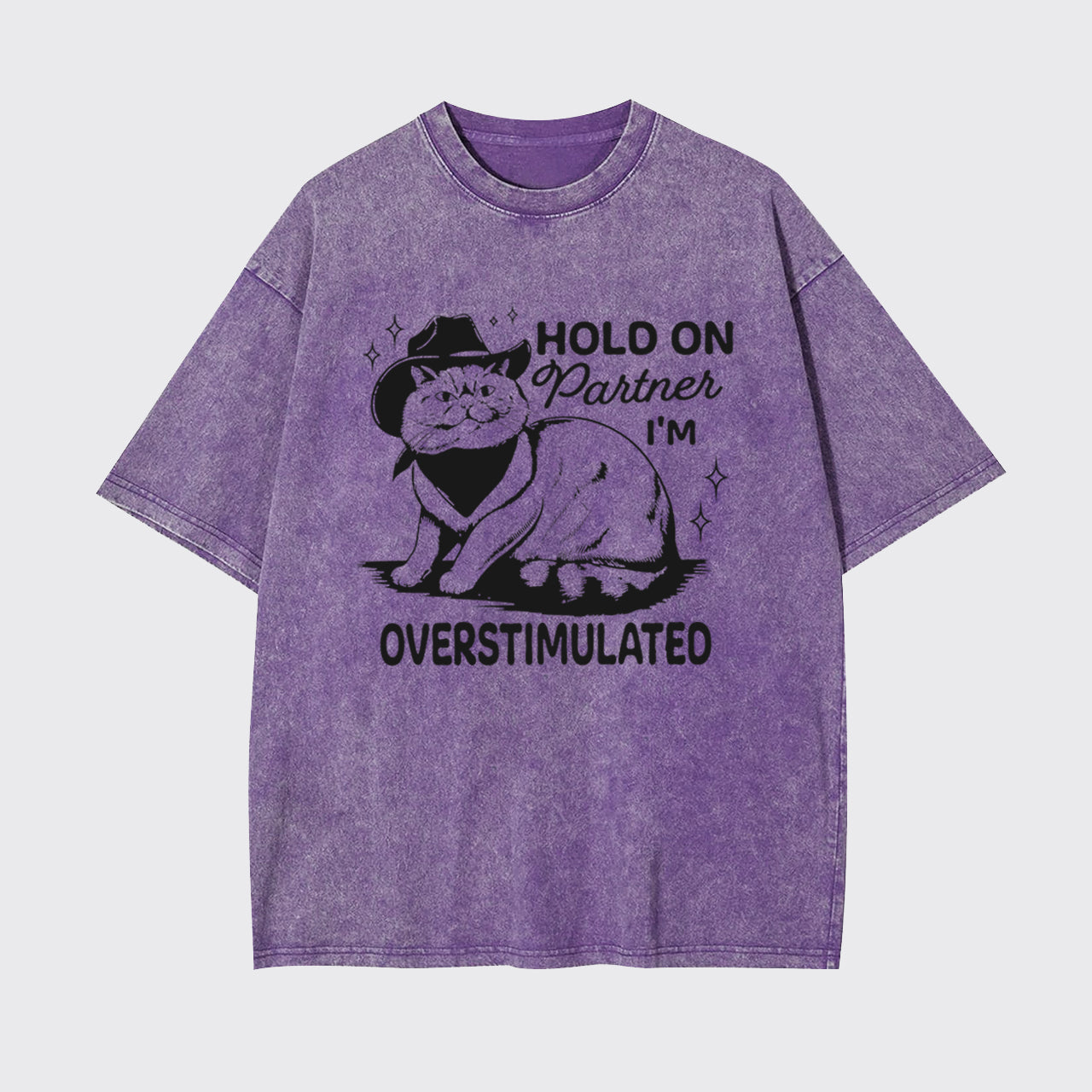 Funny Sarcastic Cat 90s Hold On Partner I'm Overstimulated Garment-dye Tees