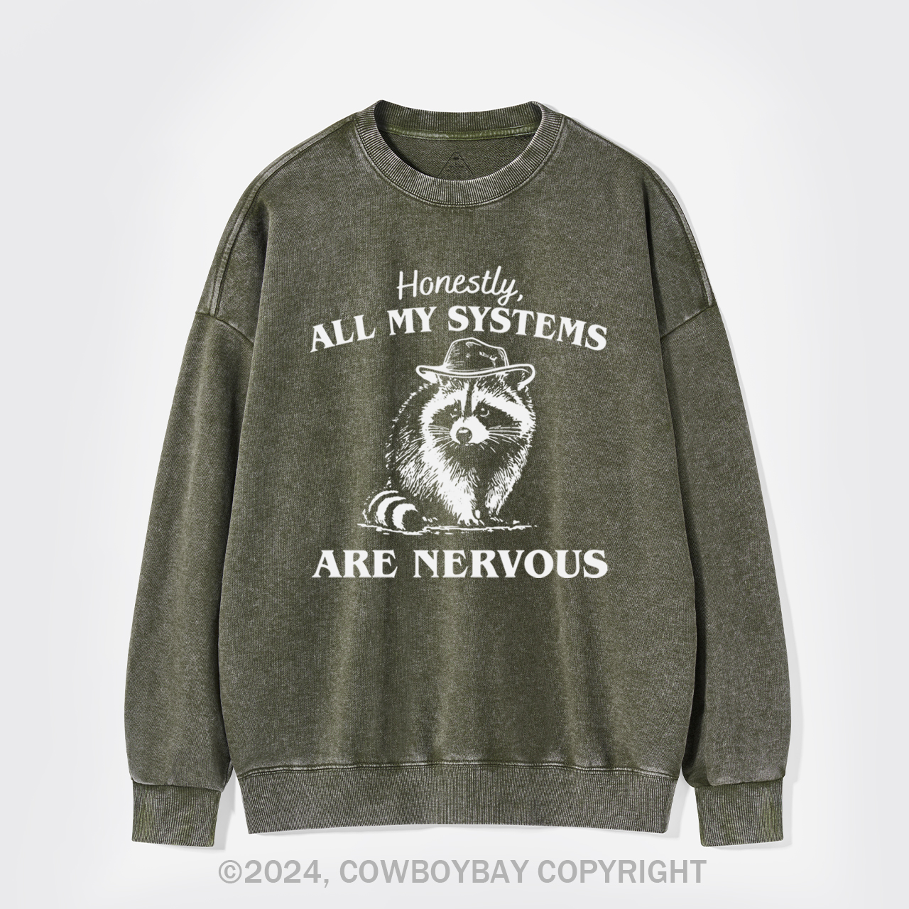 Actually All My Systems Are Nervous Washed Sweatshirts