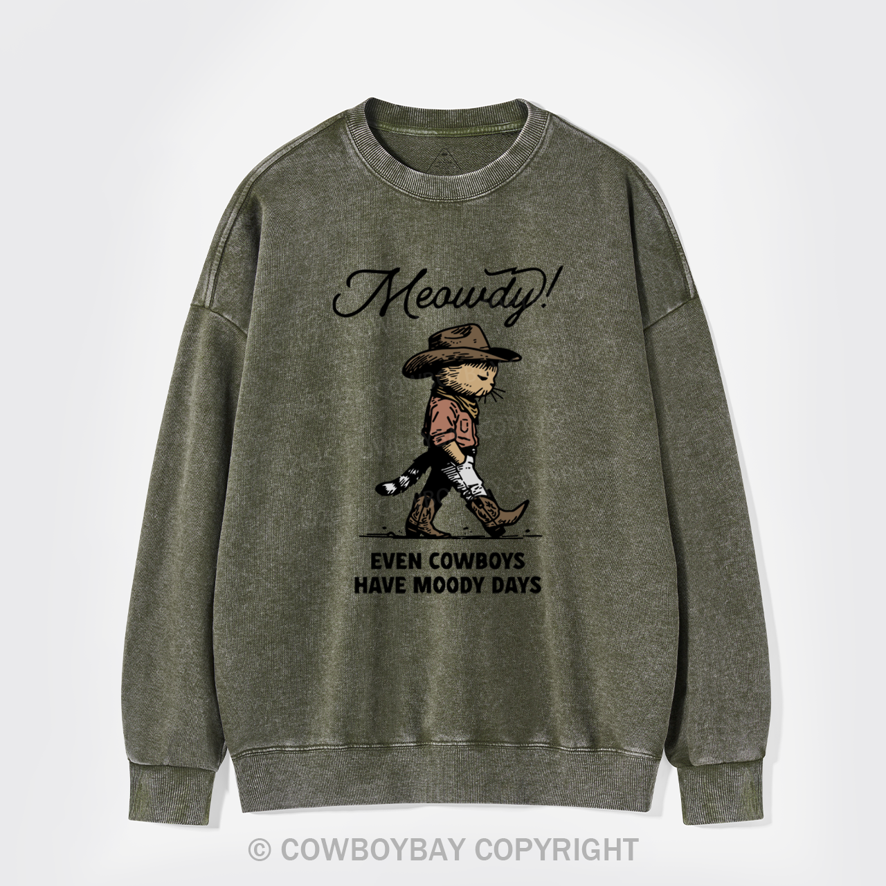 Sad Cat Cowboy Washed Sweatshirts