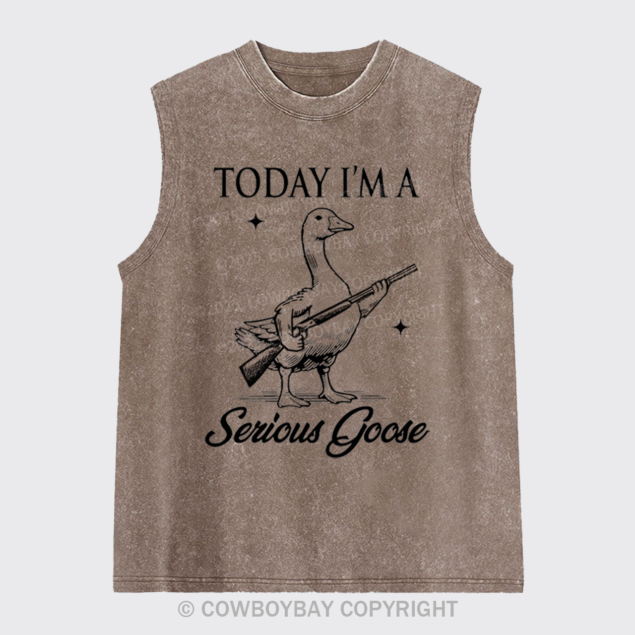 Today I'm Serious Goose Washed Tanks