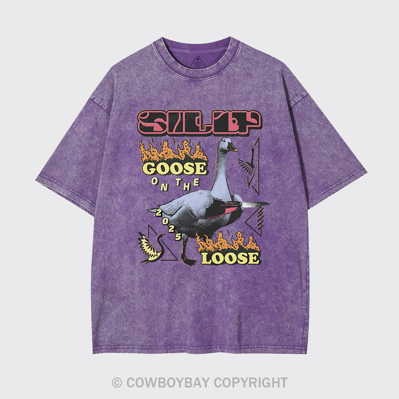 Silly Goose On The 2025 Loose Garment-dye Tees
