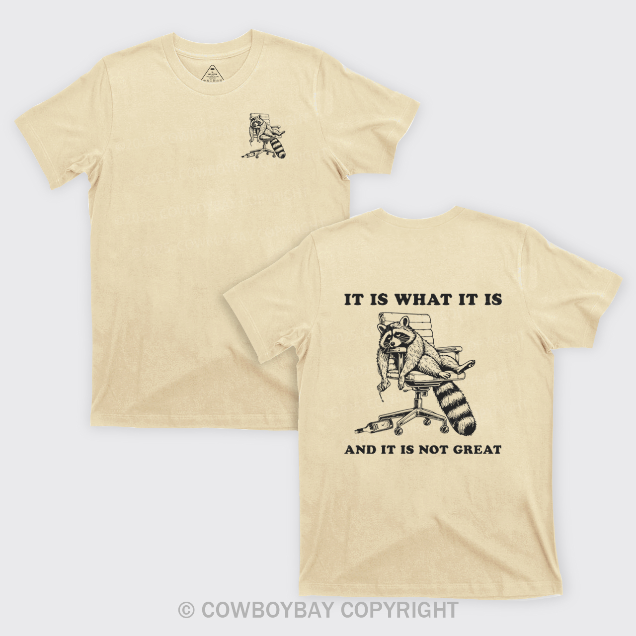 It Is What It Is And It Is Not Great T-Shirts