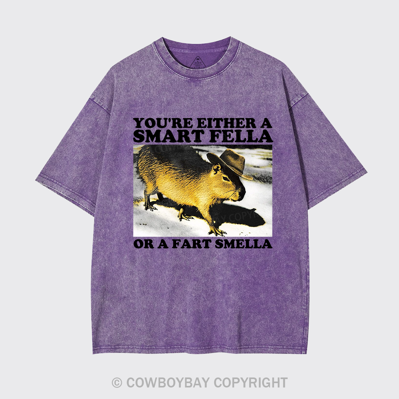 Retro Smart Fella Fart Smella Capybara 90s Garment-dye Tees