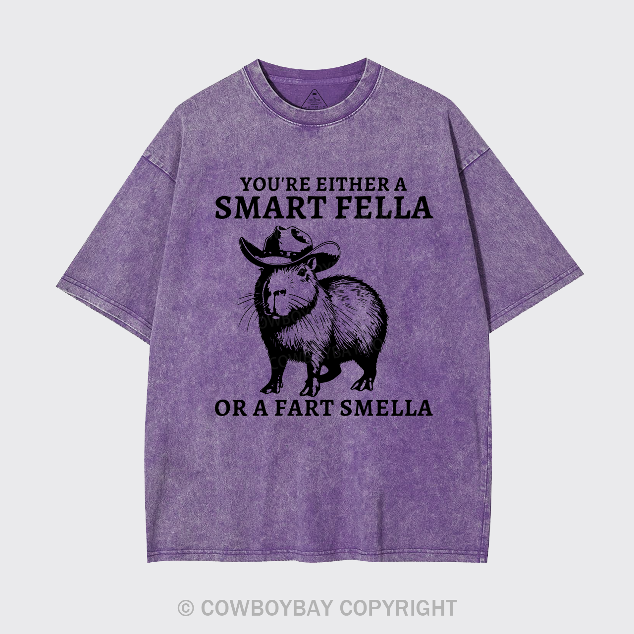 Retro Smart Fella Capybara 90s Garment-dye Tees