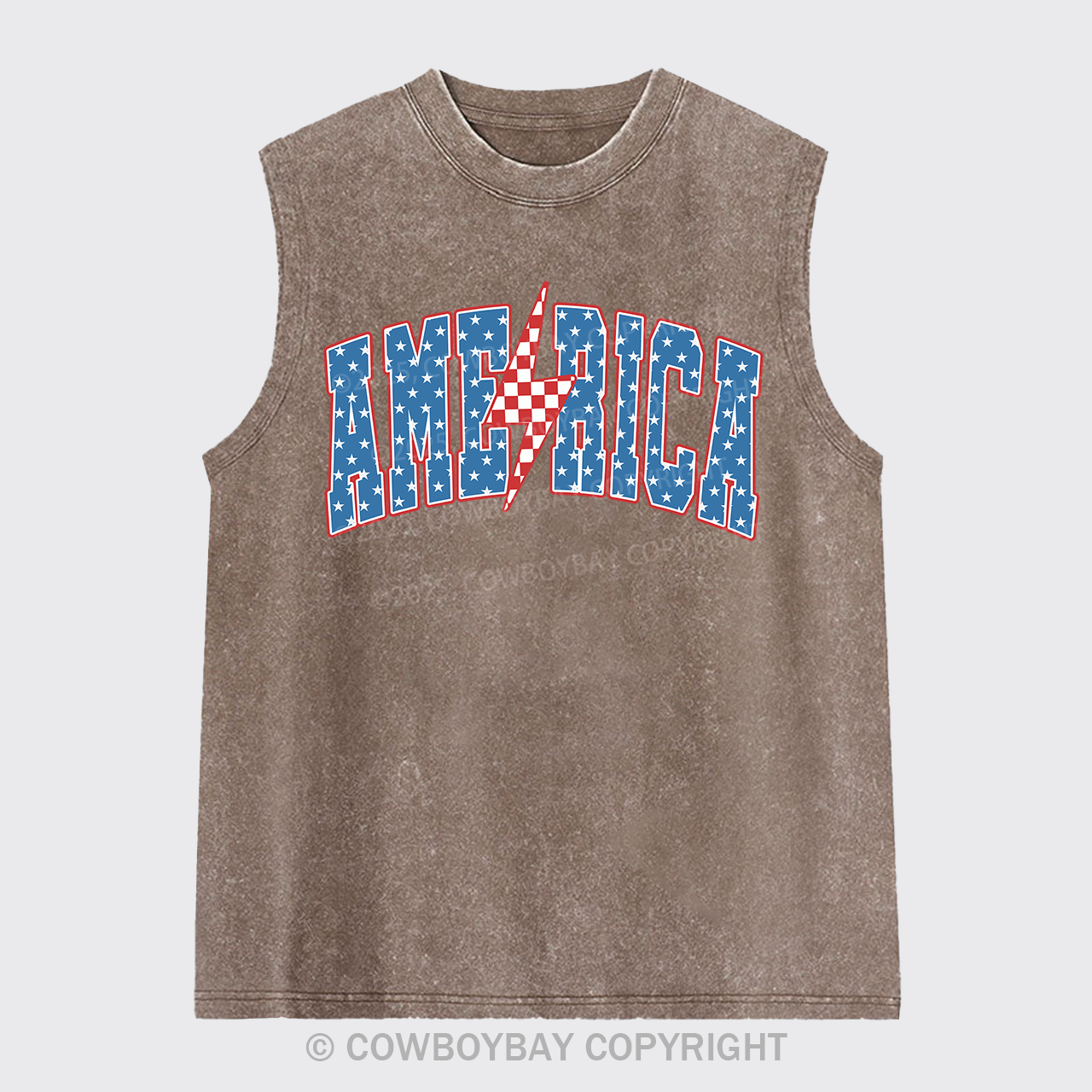 Shining America Washed Tanks