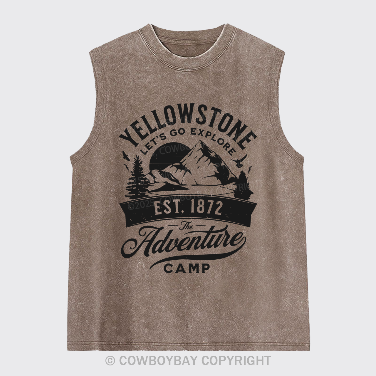 Yellowstone Let's Explore Washed Tanks