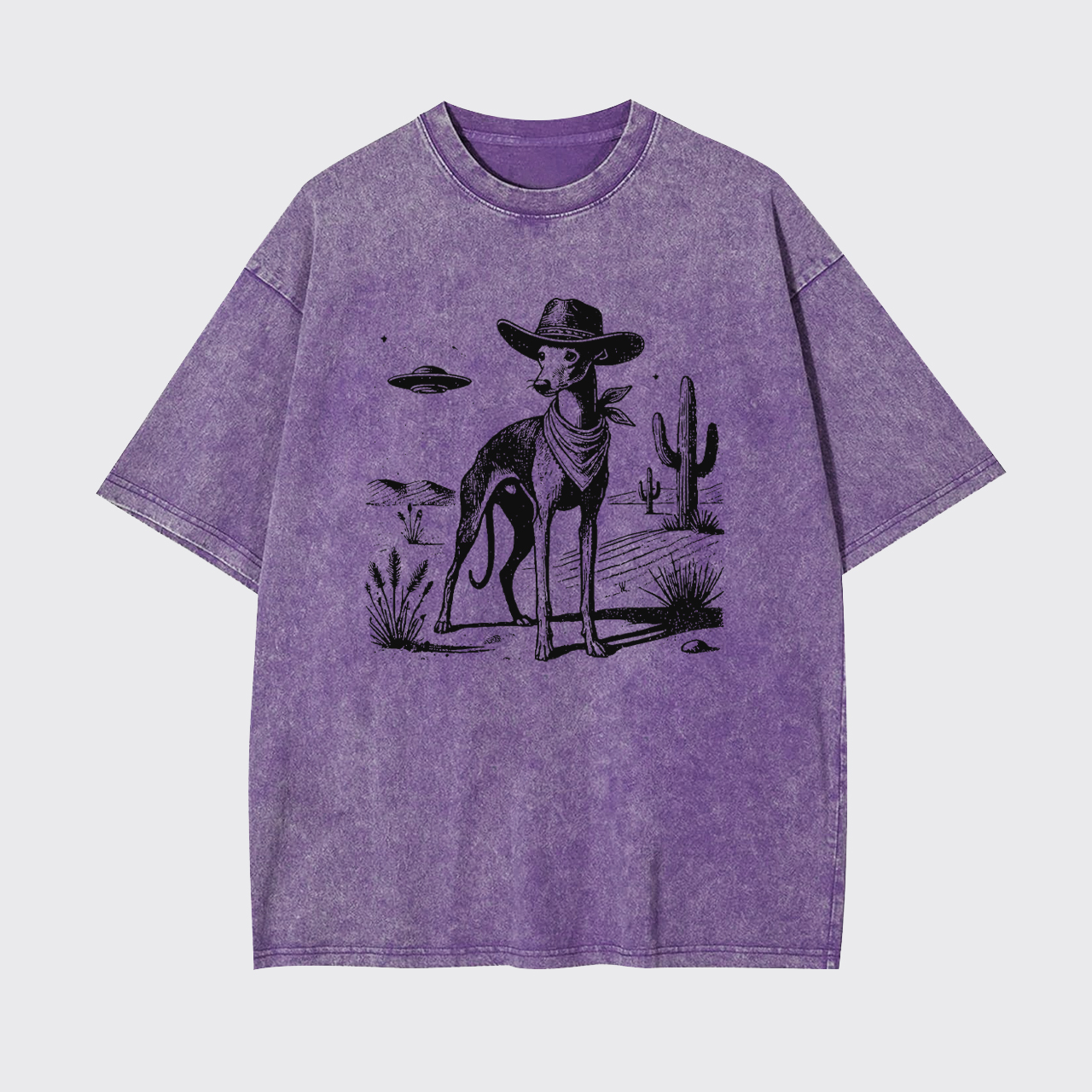 Whippet Vintage UFO Western Garment-dye Tees