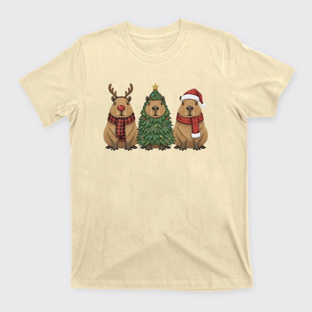 Santa Capybara Christmas T-Shirts