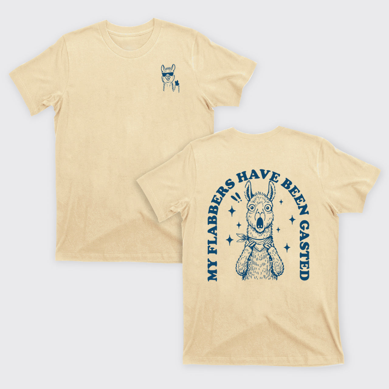 Snarky Sayings-My Flabbers Have Been Gasted T-Shirts