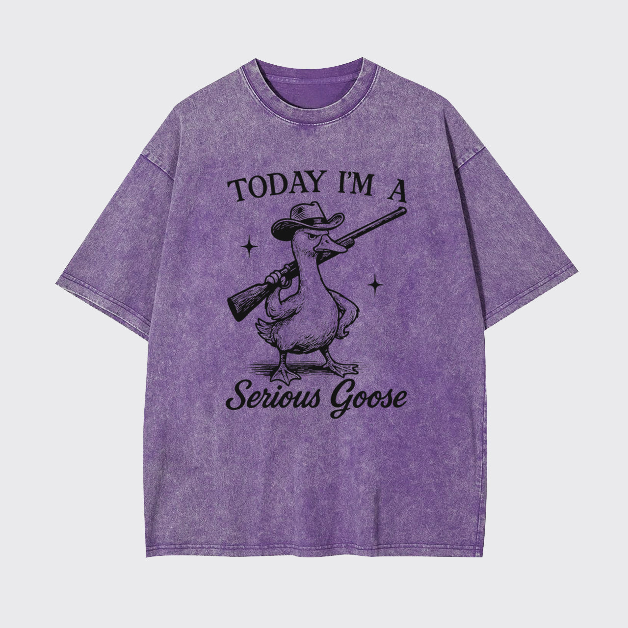 Retro Silly Goose-Today I'm A Serious Goose Garment-dye Tees