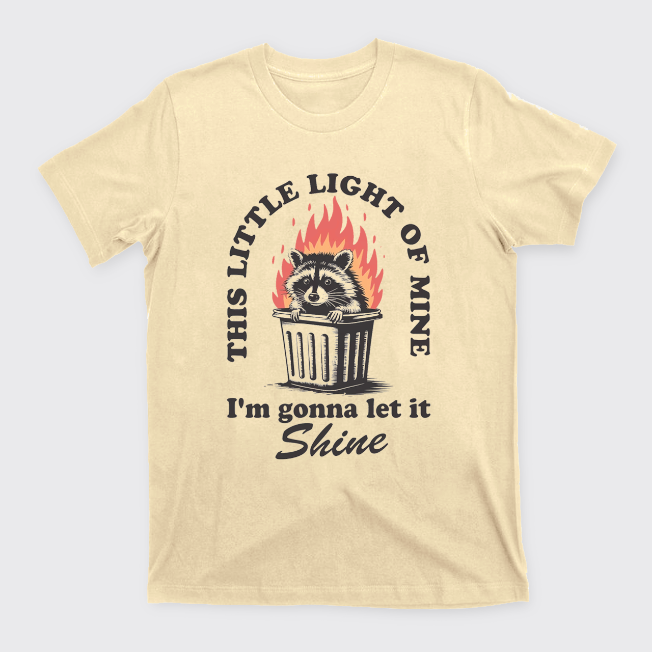 Funny Dumpster Fire T-Shirts