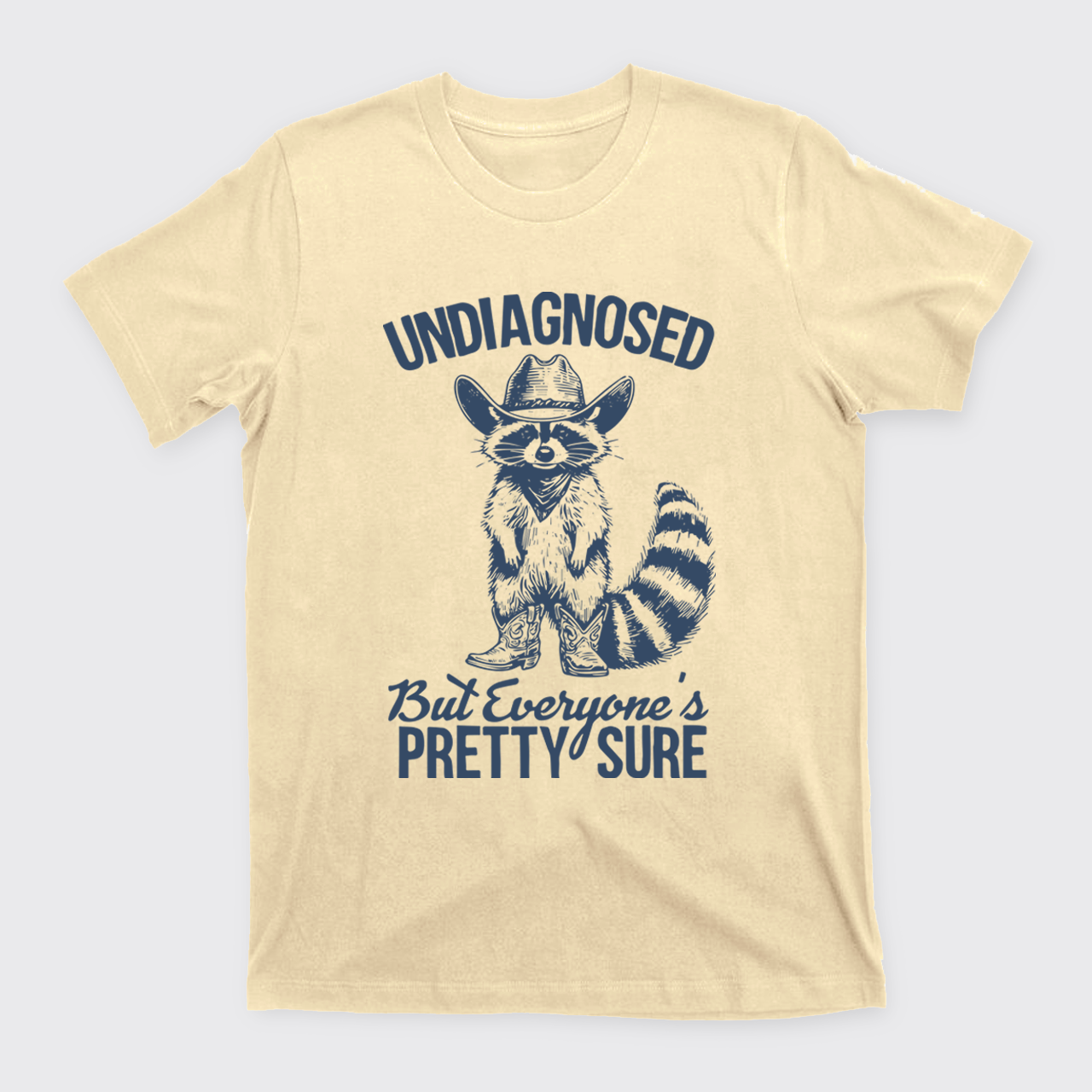 Sarcastic Raccoon-Undiagnosed But Everyone Pretty Sure T-Shirts