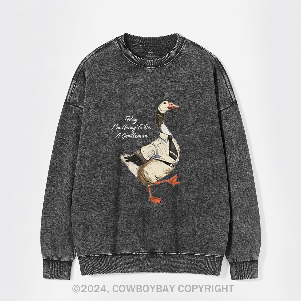 Today I'm Going To Be A Gentleman Washed Sweatshirts