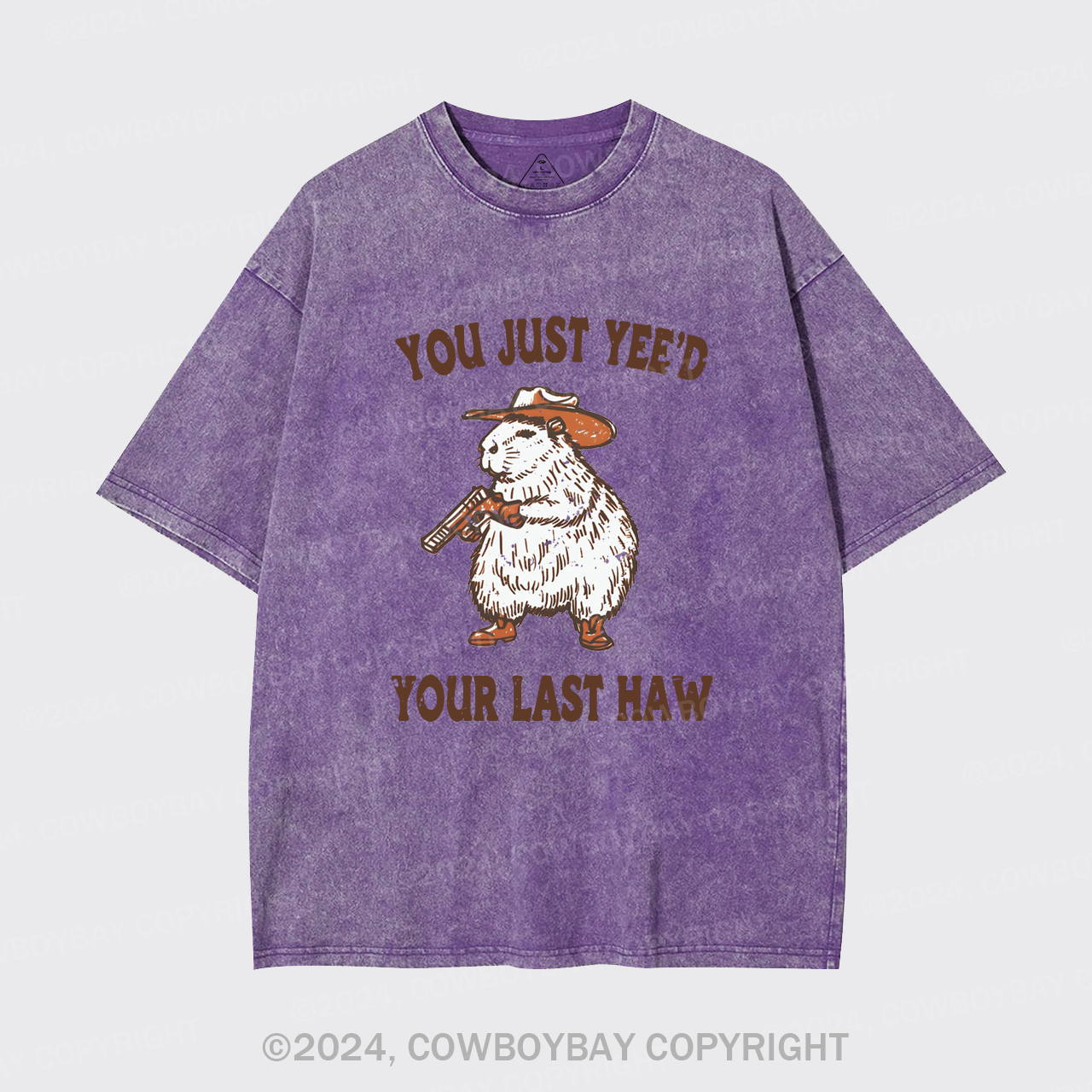 You've Lost Your Last Chance Garment-dye Tees
