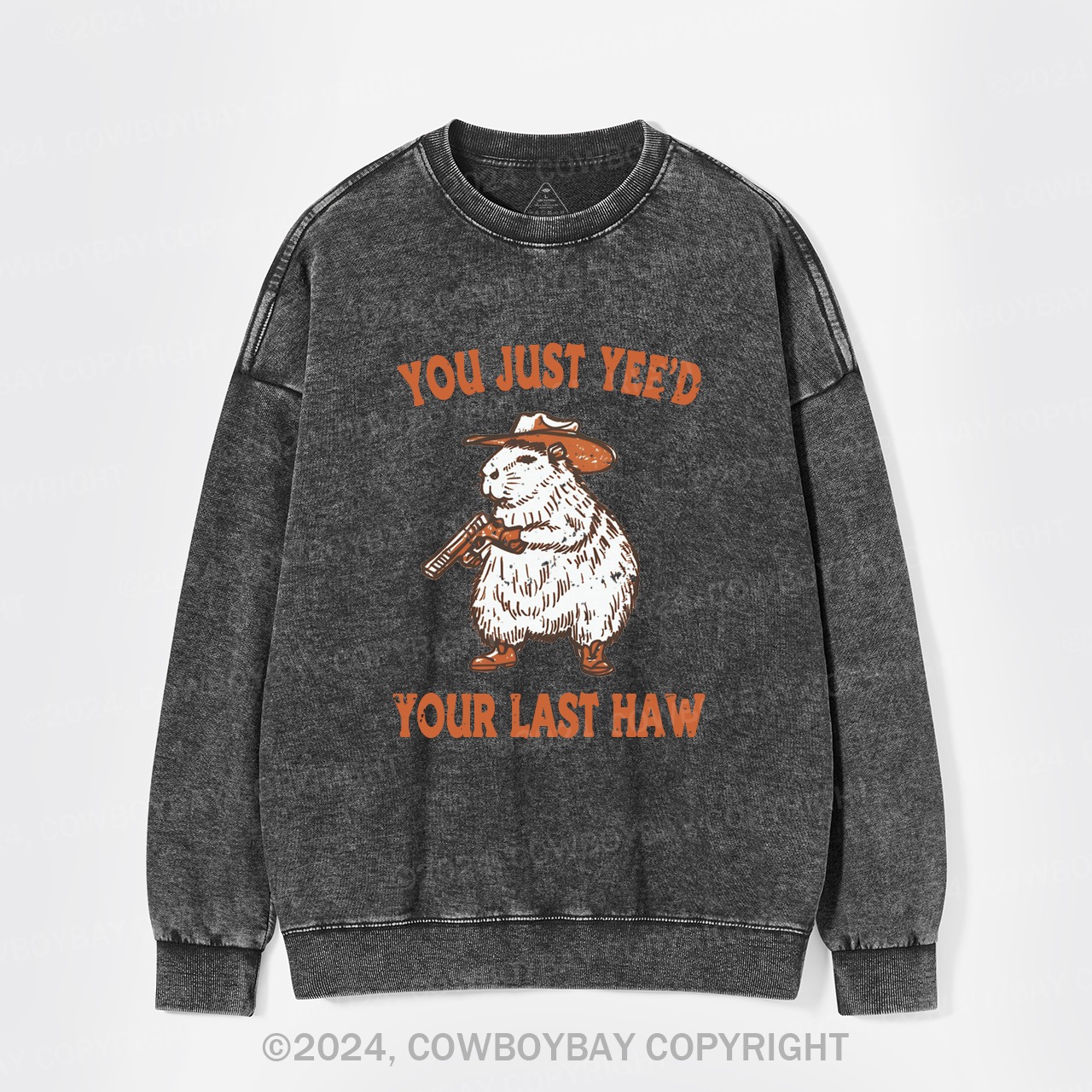 You've Lost Your Last Chance Washed Sweatshirts